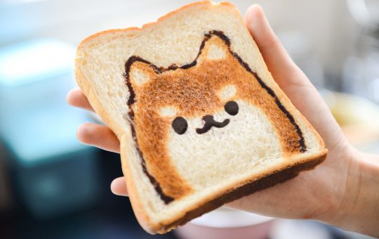 Should I give up gluten?