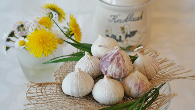 garlic-health-herb-benefit