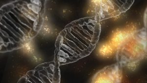 HD occurs from mutations in the huntingtin gene. It is genetic and passed down from parents who have the disease.