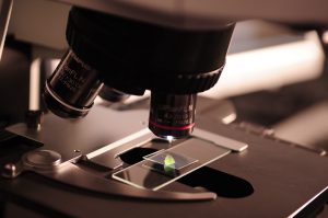 Microscope examining soemthing green on a strip.