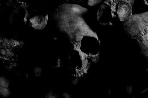 black and white skull in darkness