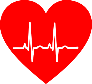 a red heart with a heartbeat rhythm on the middle of it.
