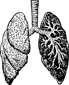 Drawing of two lungs, on the right side, it is darker than the right side.