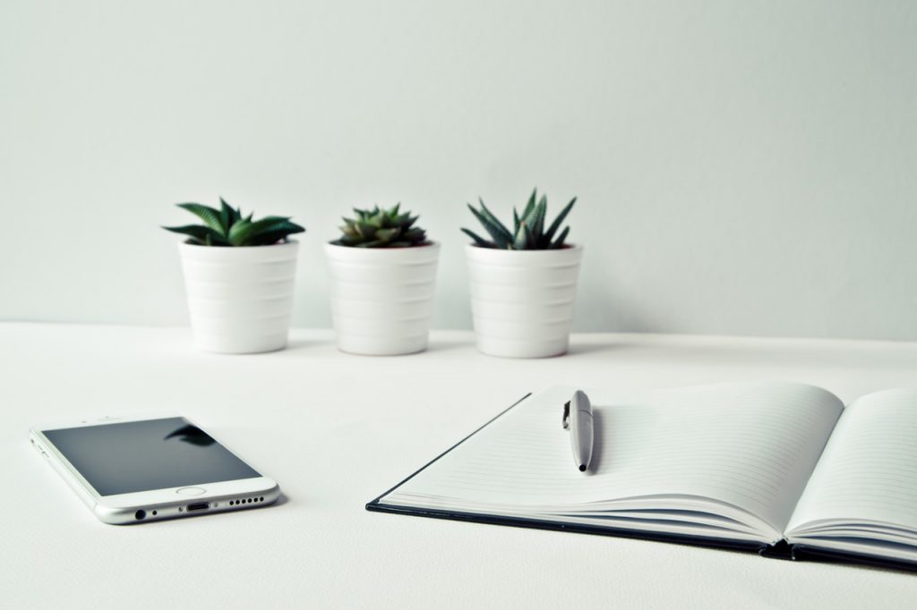 office table with plants, phone, and notebook for professional liability