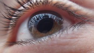 An up close picture of a caucasian person's eye that is light brown in color.