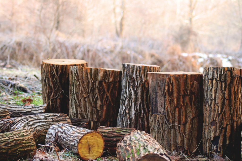 yule logs stacked up outside in a field