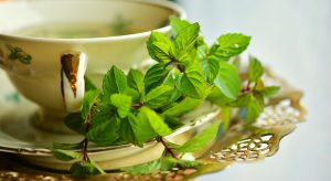 green mint leaves sitting on a saucer of a tea cup.