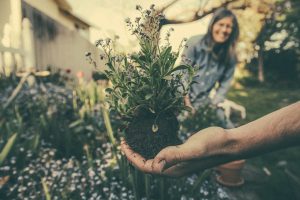 caucasian hand holding a plan with the root with a woman in the background smiling.