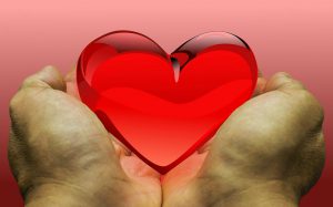 hands holding a red heart.
