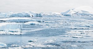 arctic ice melting into the ocean.