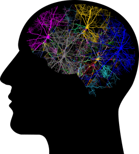 black silhouette of a head with different colored neurons connecting in the brain area.