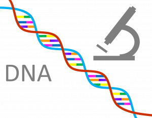 dna written with a colorful gene sequence and microscope 
