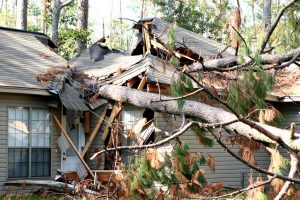 tree fallen over a house's roof.