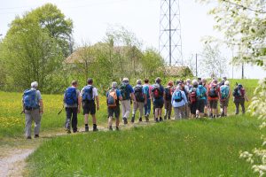 group of older individuals walking/hiking together. 