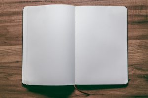 journal open with 2 blank pages