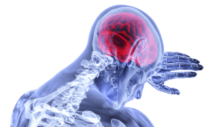 illustration of skeletal with the brain colored in red.