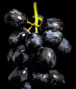 dark purple grape bunch