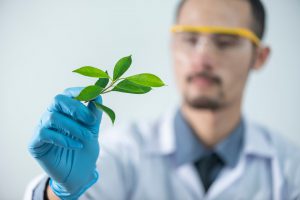 caucasian man in a lab coat looking at a leaf