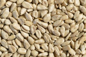 sunflower seeds unpeeled in a pile