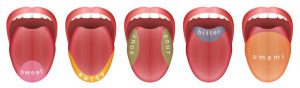 5 mouths open with their tongues out with different sections of taste buds highlighted.