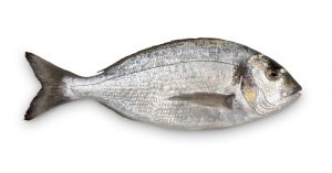 a gray medium sized fish laying on a table