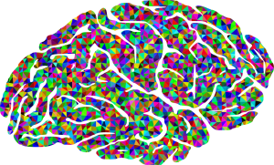 the brain in different colored pixels all over 