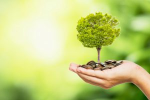 caucasian hand holding coins and a little tree 