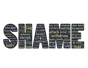 the word shame in capital letters with many little words within each letter.