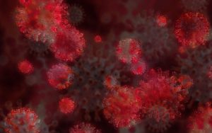 viruses in different shades of red.
