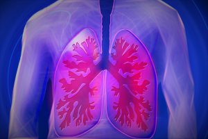 torso of a man with the lungs shown through with the red veins/tissue
