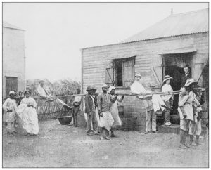 black and white picture of afircan american slaves walking in a line