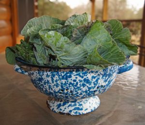 collard greens in a blue and white bowl