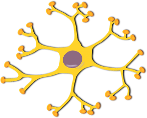 yellow nerve cell with purple in the middle