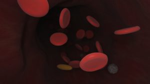 red blood cells floating 