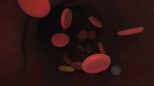 red blood cells floating