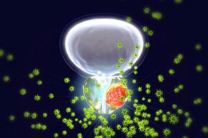 prostate with a red tumor on it and green viruses around it