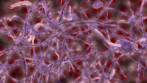 a group of light purple nerve cells connected