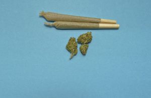 two marijuana joints and buds
