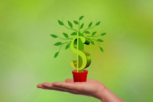 green plant in a pot with a money sign as the trunk