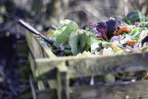 composting food