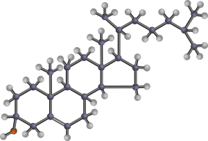 molecular makeup of cholesterol