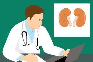 illustration of a doctor with a picture of kidneys next to him on the wall