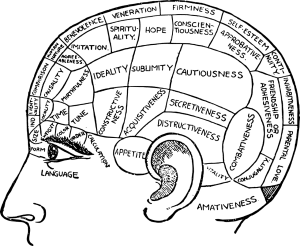 illustration of a head with the different parts of the brain listed.