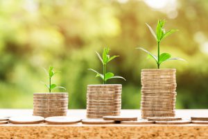 coins stacked next to each other going upwards with a leaf stalk growing on each