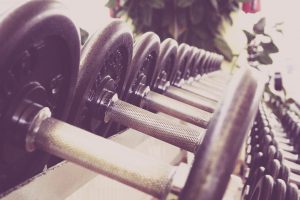 dumbbells on a rack