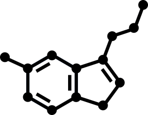 serotonin molecular makeup