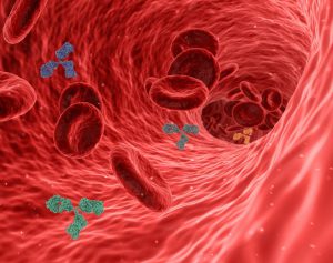 red blood cells with virus pathogens floating around