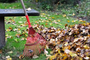 rake with a leaf pile next to it
