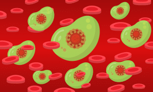 blood cells with green viruses around them