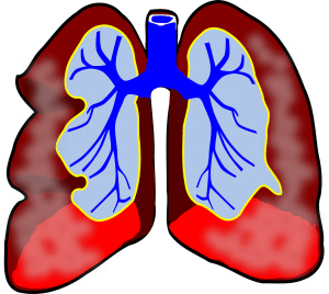 illustration of a lung